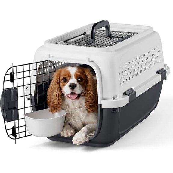 Magshion 22 Inch Hard-Sided Dog Cat Carrier Grey