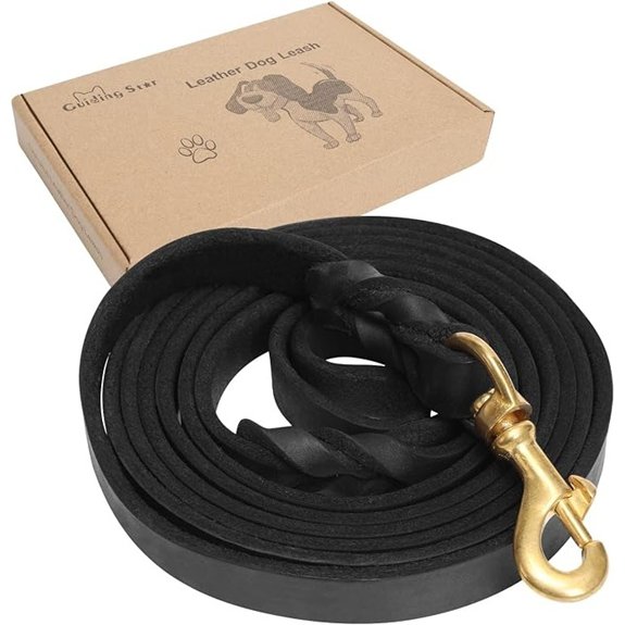 Guiding Star Leather Dog Leash 5ft