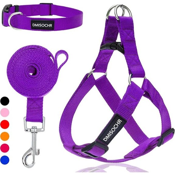 No Pull Dog Harness Leash & Collar Set Adjustable Step-in Vest
