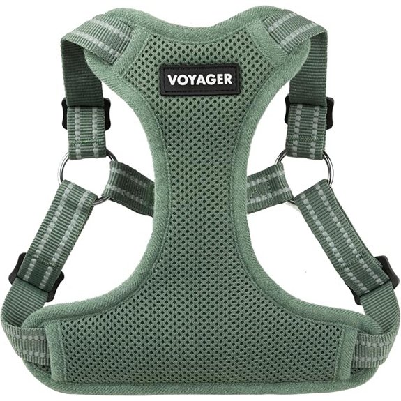 Voyager Step-in Flex Adjustable Dog Harness - Moss Green Medium