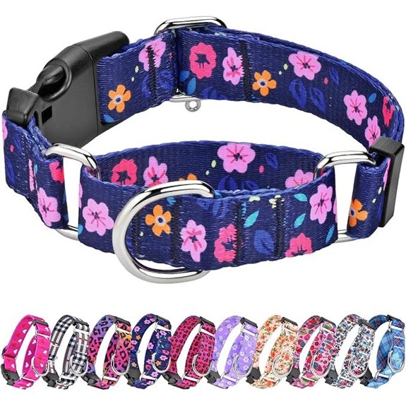 Martingale Dog Collar with Buckle,Adjustable Soft Nylon with Pattern,M