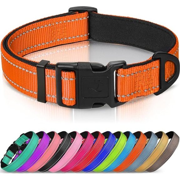 adjustable orange padded collar
