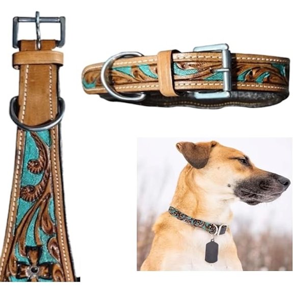 Majestic Ally Leather Dog Collar – Adjustable Padded Fancy Colors