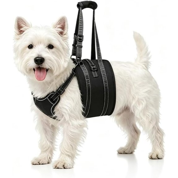 NOYAL Dog Lift Harness Sling Adjustable Support for Senior Dogs