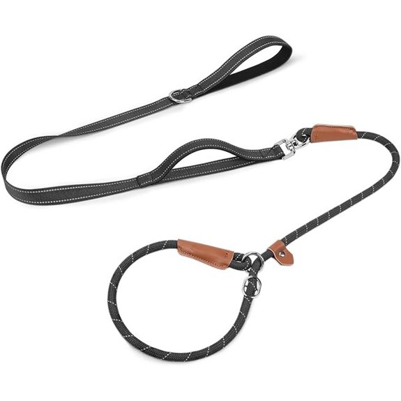 Joytale Slip Lead Dog Leash with Dual Handle No Pull Black 6FT x 3/8