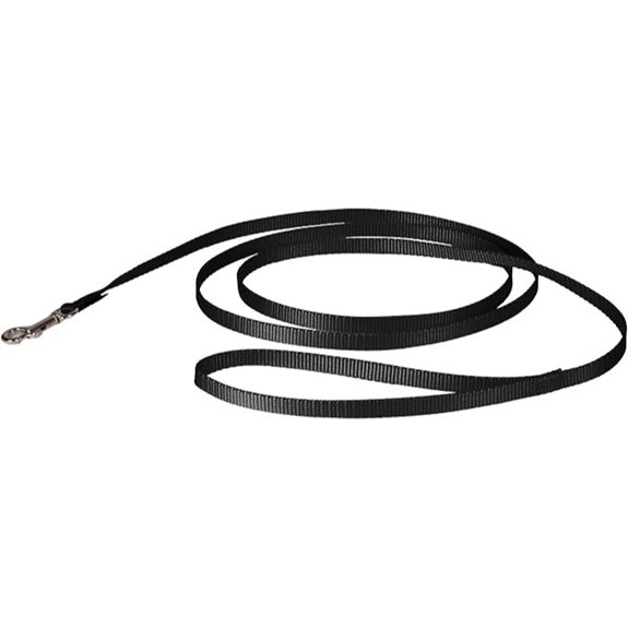 PetSafe Nylon Dog Leash - 6 ft Black