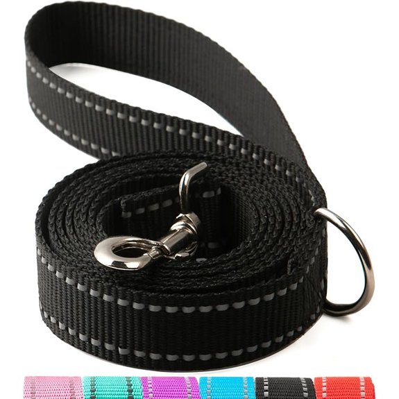 6FT Reflective Nylon Dog Leash with D‑Ring (Black)