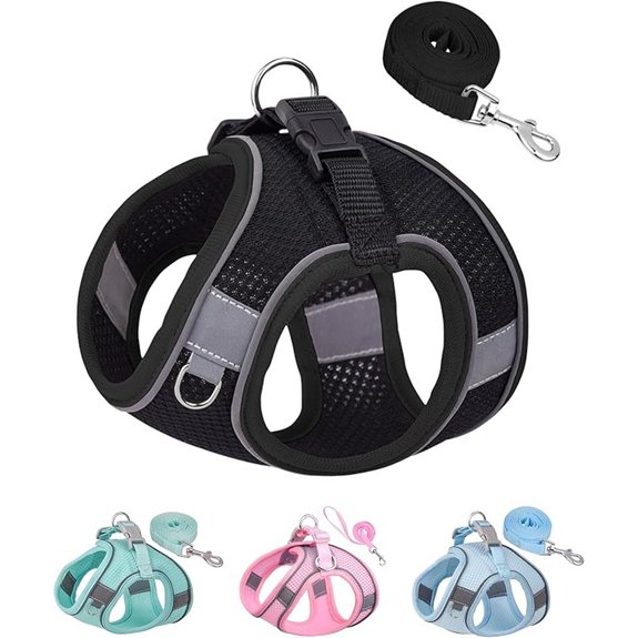 Solmoony Black Step-in Dog Harness & Leash Set Vest for Small Medium Pets