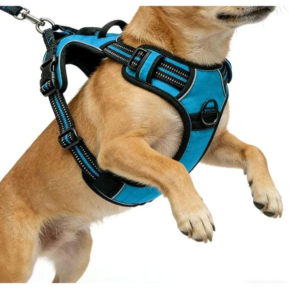 Blue Adjustable Dog Harness with Reflective Pads – Small Size
