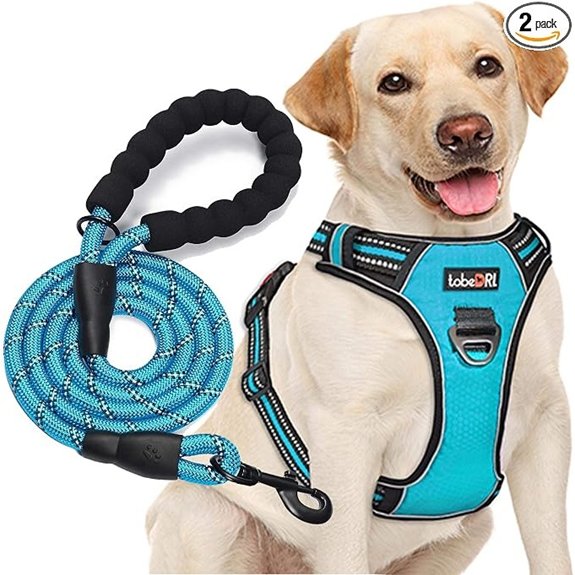 tobeDRI Reflective Dog Harness with 5ft Leash (Blue)