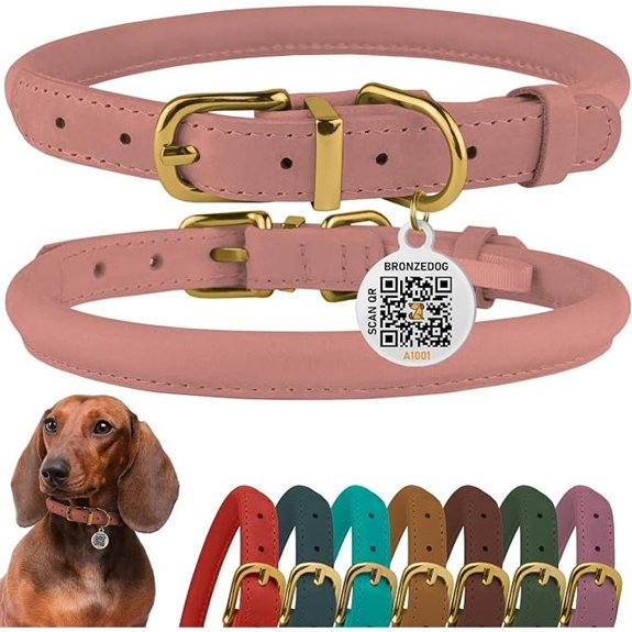 Rolled Leather Dog Collar QR Tag Anti-Tangle (7-10 Blush)