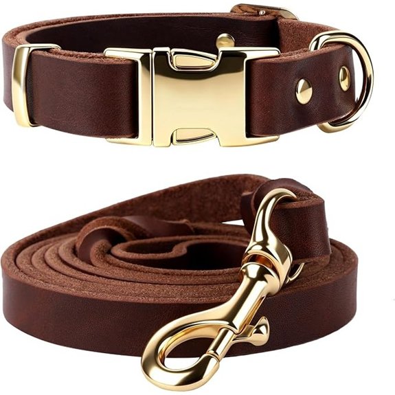 Leather Dog Collar & 6FT Leash Set (Brown M)