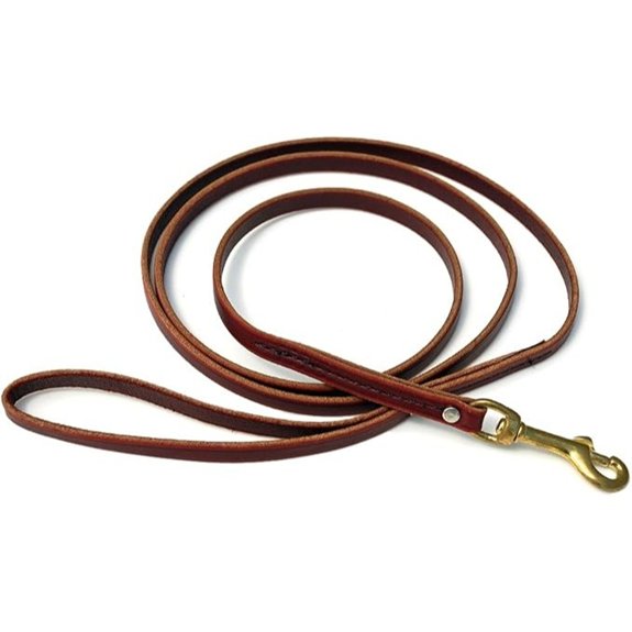 RAM Signature K9 Standard Leather Leash 6-Feet x 1/2-Inch Burgundy