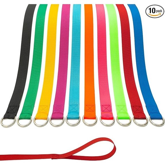 Slip Lead Dog Leash 10 Pack Colorful 6 FT Pet Leashes with O-Ring