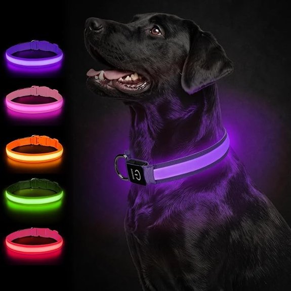 Joytale Light Up Dog Collar 7 Color Night Safety & Daily Wear Purple S