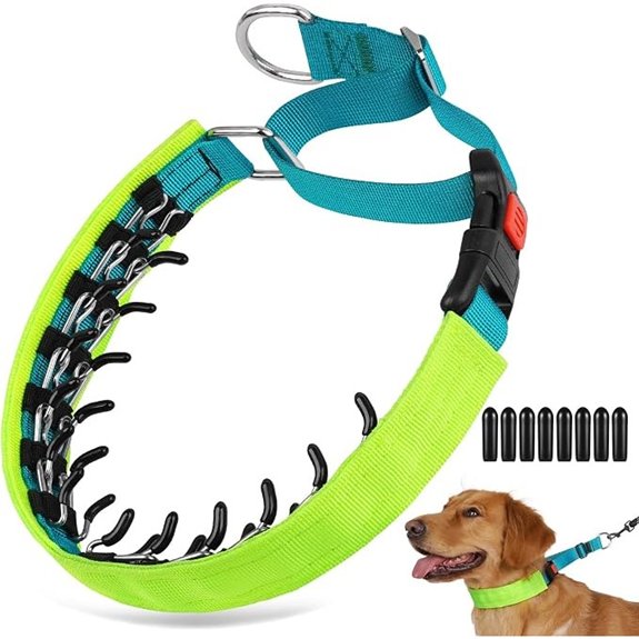 Crazy Felix No Pull Martingale Dog Training Collar Neon Yellow/Lake Blue