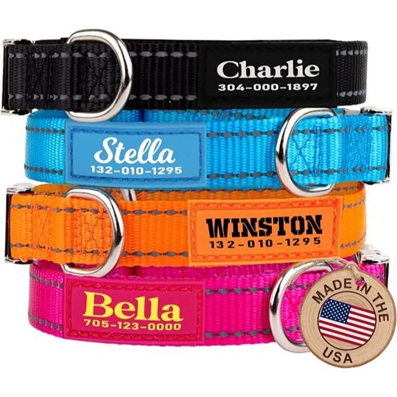 Personalized Reflective Dog Collar with Name & Phone