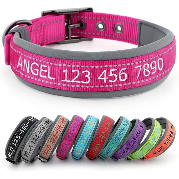 Personalized Dog Collars Custom Embroidered Name & Phone Number