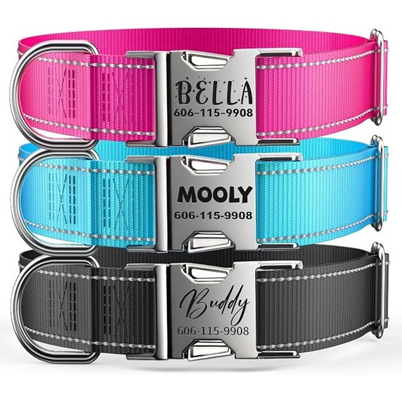 Personalized Reflective Dog Collar with Engraved ID Tag