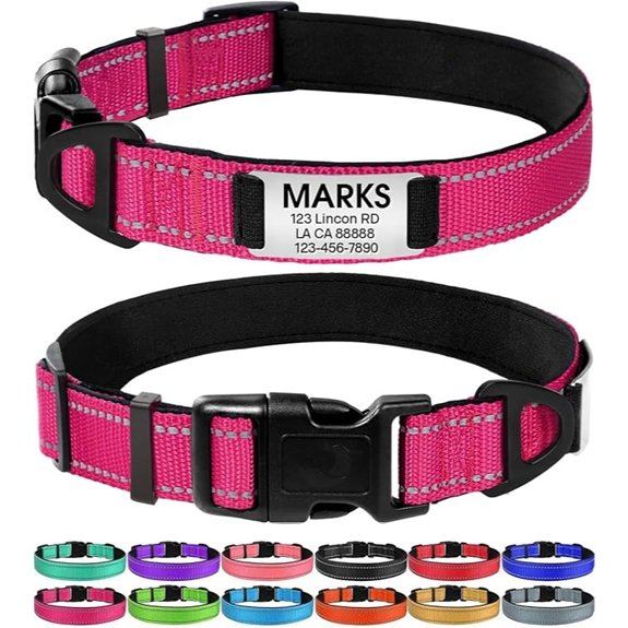 Joytale Personalized Dog Collar with Name Plate Built-in for Large Dogs
