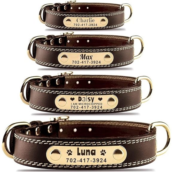 Personalized Leather Dog Collar with Engravable Nameplate