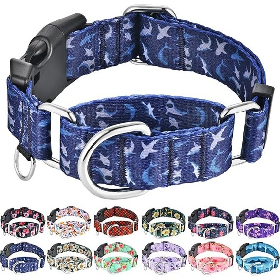 Martingale Dog Collar – Heavy Duty Buckle Deep Blue Shark