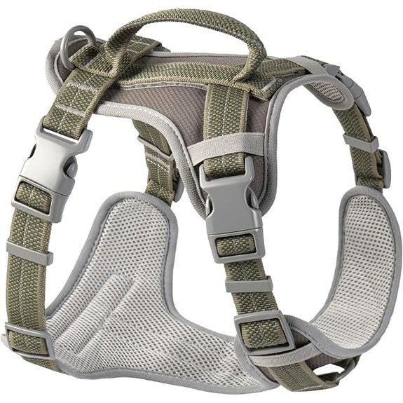 No Pull Harness Detachable Dog Harness 2-in-1 Comfy Green | L