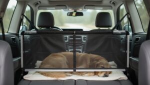 dog car barrier safety