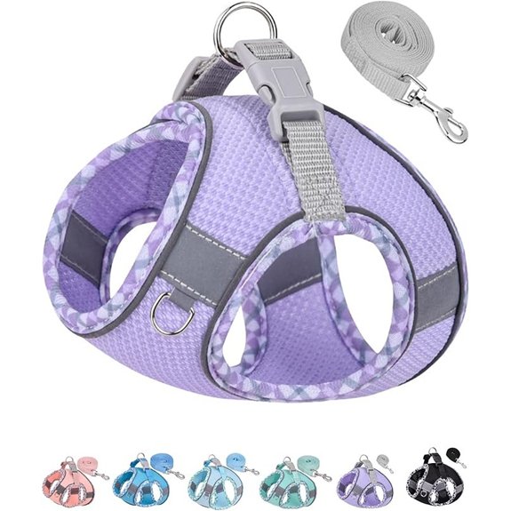 Petank No-Pull Dog Harness & Leash Set (Small/Medium)