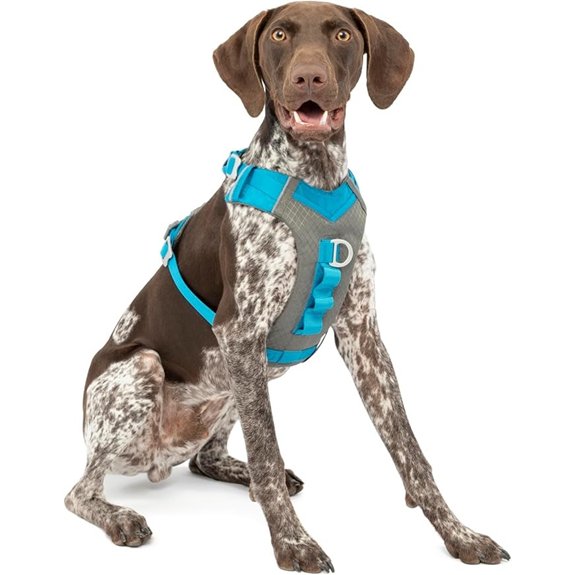 Kurgo Journey Air Dog Harness Blue Medium