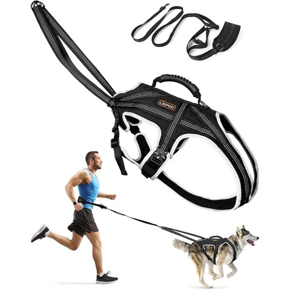 Dog Running Harness Set with Waist Belt & Shock Absorbing Leash