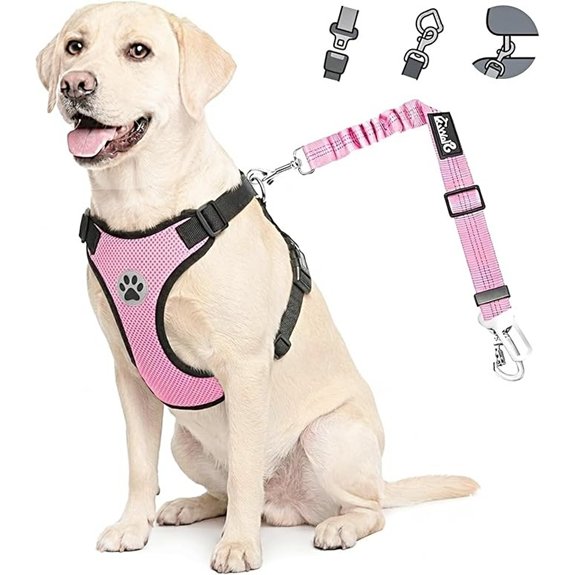 Lukovee Dog Car Harness Seat Belt Set Seatbelt with 2 in 1 Buckle M