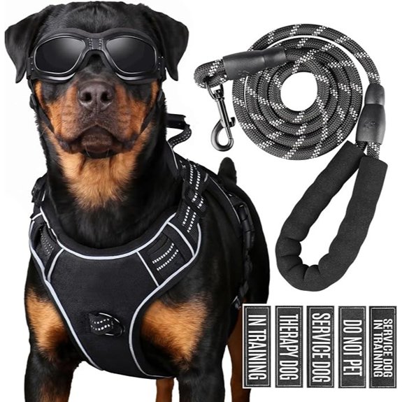 Large Dog Tactical Harness & Leash Set with MOLLE