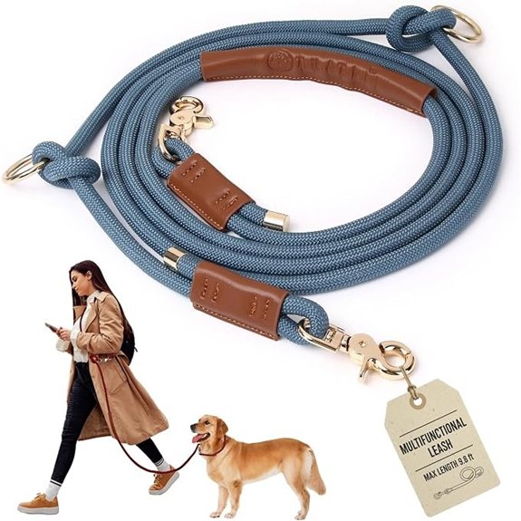 Hands Free Multifunctional Dog Leash for 1 or 2 Dogs 9.8 ft Tapestry Blue