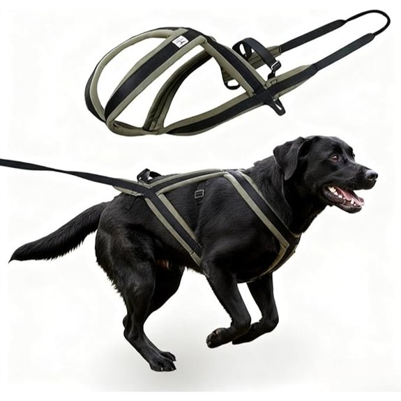 Weight Pulling Harness for Dogs – Sled Running & Canicross