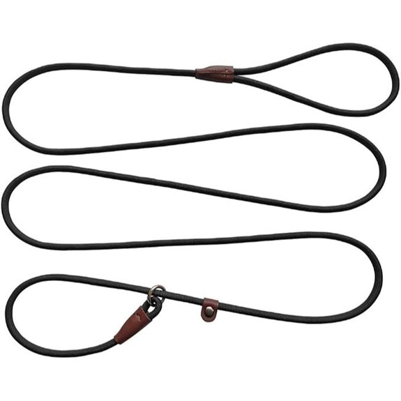 BTINESFUL 5/6/7 FT Slip Lead Dog Leash for Small Dogs 1/4 Thin Nylon Rope