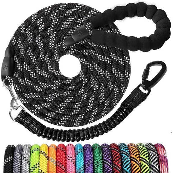 Heavy Duty 10ft Dog Leash with Swivel Hook
