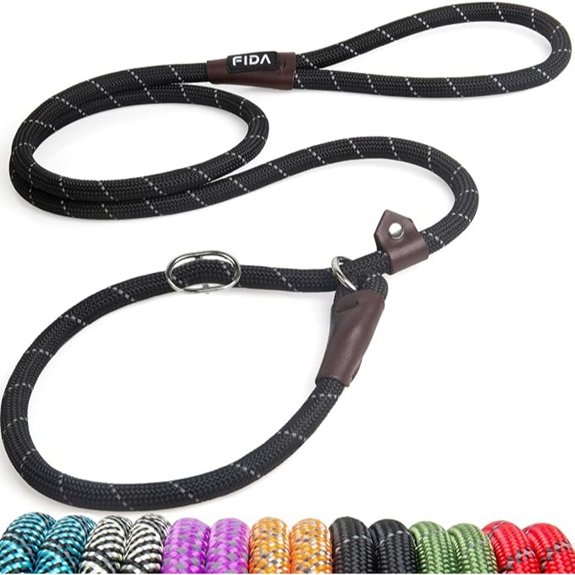 Fida Durable Slip Lead Dog Leash 6 FT x 1/2 Dog Training Leash Black