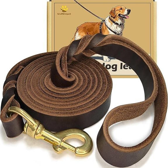 Premium Leather Dog Leash 6ft Heavy Duty