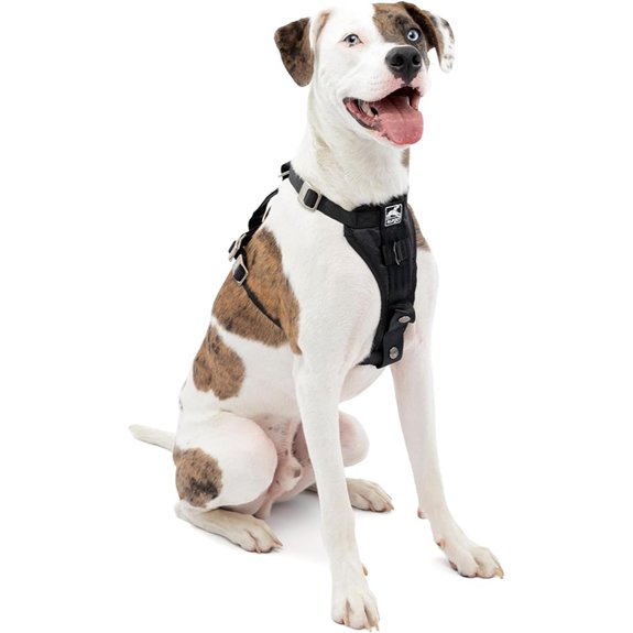 Kurgo Enhanced Strength Tru-Fit Smart Harness Black Medium