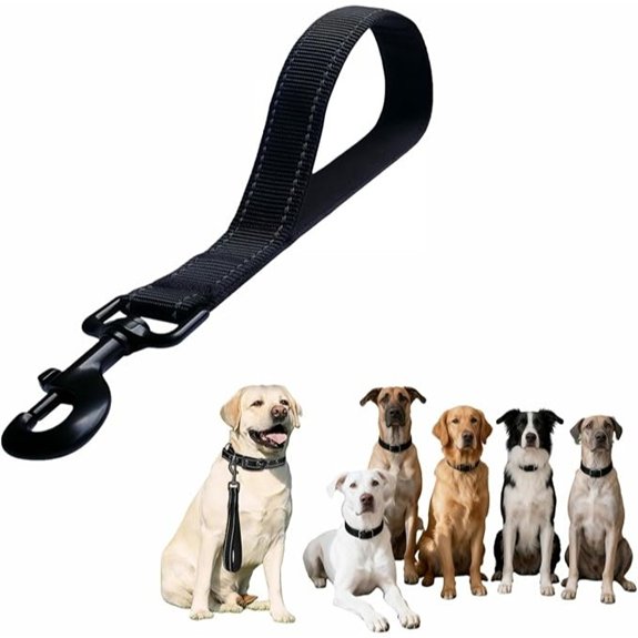 Heavy Duty Nylon Dog Leash with Padded Handle