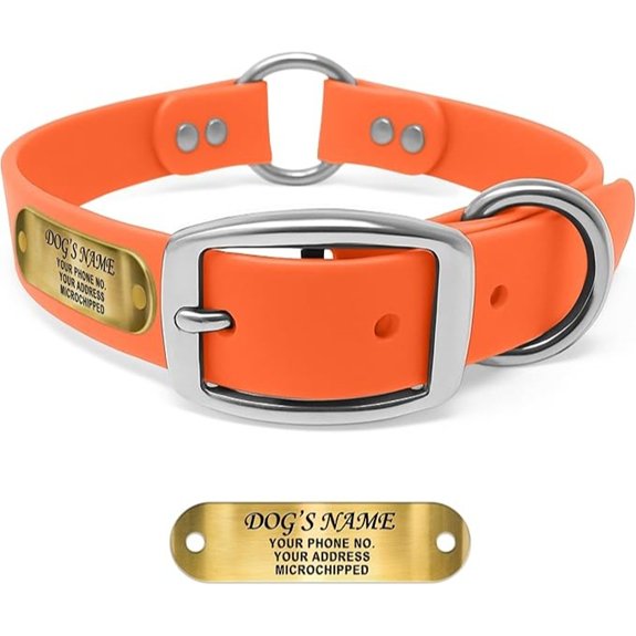 Regal Dog Products Engraved Name Plate Dog Collar Biothane Large Orange