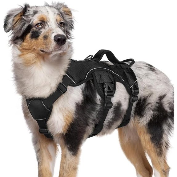 rabbitgoo Escape Proof Dog Harness for Medium No Pull with Lift Handle