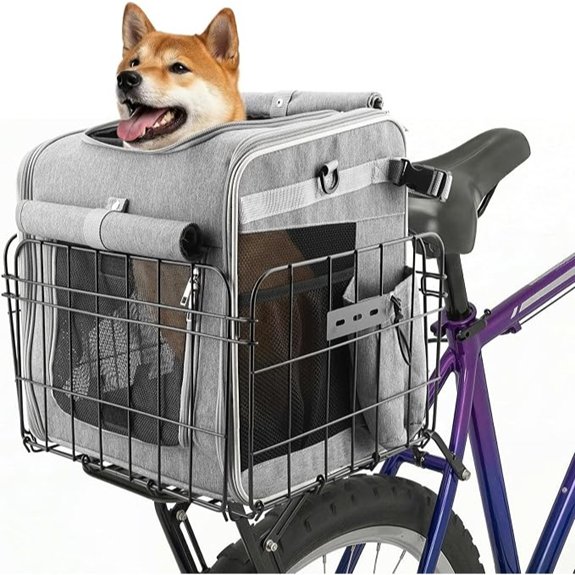 Foldable Dog Bike Rear Basket with Safety Leash & Padded Liner