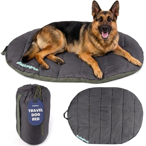 Travel Dog Bed 48x36in Foldable & Packable with Carry Bag Black