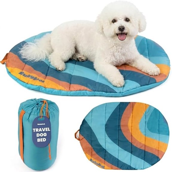 Travel Dog Bed 30x22in Foldable & Packable with Carry Bag Teal