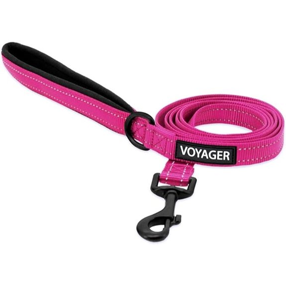 Best Pet Supplies Voyager Nylon Dog Leash - Fuchsia Small