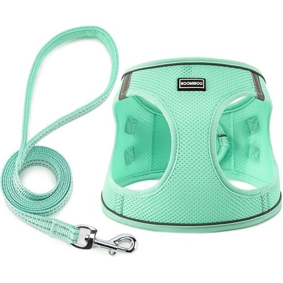 Dog Harness with Leash Set Step-in Adjustable Puppy Pet Vest Green XS