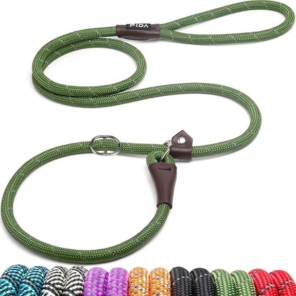 Fida Durable Slip Lead Dog Leash 6 FT x 1/2 Dog Training Leash Green
