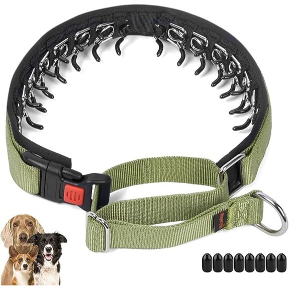 Mayerzon No Pull Dog Collar Martingale Green M | Neck Cir 14.5-18.5